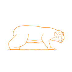 Animals Lemuriforms Pygmy Slow Loris Tracing Svg Vector, Free Vectors File